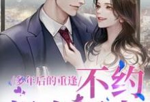 禾念安傅璟忱小说多年后的重逢，不约，姐有男友在线阅读-扫文君
