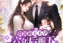 宋时今傅寒舟小说完结版在线阅读,缠绵过后,心机霸总不装了免费看-扫文君