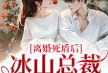 离婚死盾后，冰山总裁哭崩了（宋瓷陆经年）在线免费阅读-扫文君