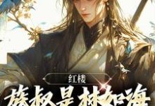 红楼：族叔是林如海，在线当大佬小说无弹窗阅读的网站推荐-扫文君