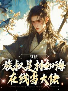 红楼：族叔是林如海，在线当大佬小说无弹窗阅读的网站推荐