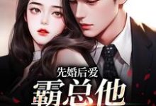 先婚后爱：霸总他总在追妻最新章节，先婚后爱：霸总他总在追妻章节在线阅读-扫文君