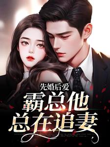 先婚后爱：霸总他总在追妻小说的无弹窗阅读体验，寻找免费阅读网站