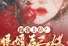 踩我上位？退婚后三媒六聘嫁他哥这本小说在哪里可以看？哪里有免费试读章节？-扫文君