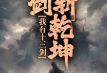 我有十三剑，剑剑斩乾坤陆无尘小说免费阅读-扫文君