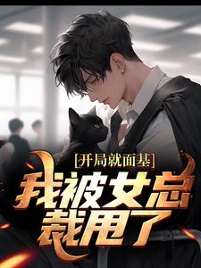 小说《开局就面基，我被女总裁甩了》在线章节阅读