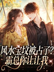 哪里可以免费找到风水宝坟被占了？霸总你让让我？