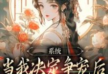 小说《系统：当我决定争宠后，后宫无敌手》章节免费阅读-扫文君