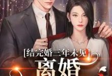 《结完婚三年未见，离婚他急红眼》全集免费在线阅读（姜夏初陆怀宴）-扫文君