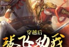 完结版《穿越后，张飞劝我上位》免费阅读-扫文君