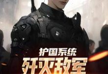 《护国系统：歼灭敌军我一拳就搞定》全集免费在线阅读（楚峰）-扫文君