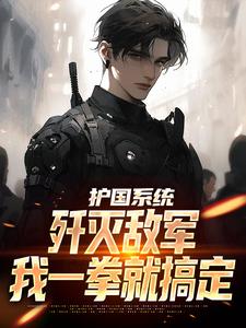 完结版《护国系统：歼灭敌军我一拳就搞定》章节阅读
