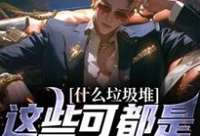《什么垃圾堆？这些可都是科技神器！》小说程乞章节章节免费在线阅读-扫文君