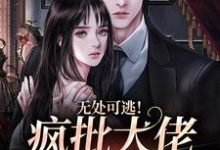 《无处可逃!疯批大佬强制爱》小说章节在线试读,《无处可逃!疯批大佬强制爱》最新章节目录-扫文君
