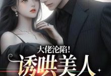 大佬沦陷！诱哄美人回家放肆宠田馨霍霆小说在线章节免费阅读-扫文君