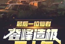 完结版《最后一位仙者，登峰造极五十年》章节阅读-扫文君