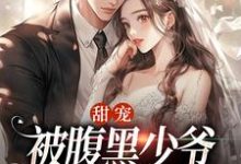 甜宠：被腹黑少爷藏起来的娇宝沈初棠时承煜，甜宠：被腹黑少爷藏起来的娇宝在线无弹窗阅读-扫文君