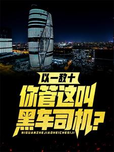 以一敌十，你管这叫黑车司机？王逸凌雪瑶小说在线章节目录阅读最新章节