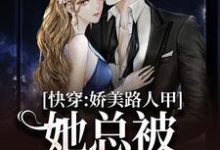 免费在线阅读快穿：娇美路人甲她总被男主觊觎小说的正规网站有哪些？-扫文君