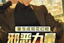 求重生成双花红棍，邪恶力量颤抖吧！小说的全文免费阅读链接-扫文君