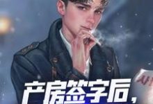 产房签字后，觉醒奶爸系统！小说，产房签字后，觉醒奶爸系统！章节在线阅读-扫文君
