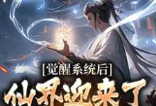 觉醒系统后，仙界迎来了互联网时代小说完结版章节免费阅读-扫文君