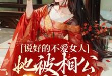 完结版《说好的不爱女人,她被相公夜夜疼爱》章节阅读-扫文君