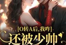 池影霍时晏小说O转A后，我咋还被少帅强取豪夺了在线阅读章节-扫文君