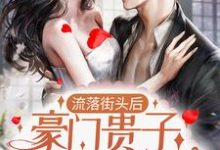 完结版《流落街头后，豪门贵子成了爹系男友》在线免费阅读-扫文君