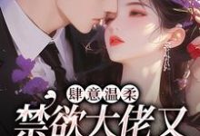 肆意温柔,禁欲大佬又在偷吻孕妻小说的无弹窗阅读体验,寻找免费阅读网站-扫文君