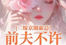 阮莞厉渊小说在线章节免费阅读（二嫁京圈霸总，前夫不许来捣乱无弹窗无删减）-扫文君