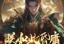 穿越：坏国运后，我要飞升成仙李天唐含雪在线章节免费阅读-扫文君