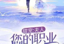 甜宠:夫人,您的职业操守呢!最新章节,甜宠:夫人,您的职业操守呢!免费阅读-扫文君
