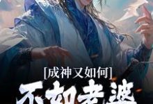 哪里能找到成神又如何，不如老婆孩子热炕头小说的全部章节？-扫文君
