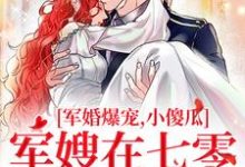 小说《军婚爆宠，小傻瓜军嫂在七零赢麻了》章节免费阅读-扫文君
