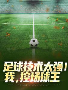 免费看足球技术太强！我，控场球王小说的网站有哪些？