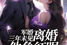 已完结小说《军婚三年未见，离婚他急红眼》在线章节阅读-扫文君