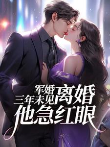 已完结小说《军婚三年未见，离婚他急红眼》在线章节阅读