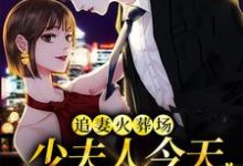 寻找能够免费阅读追妻火葬场：少夫人今天又硬气了小说的平台-扫文君