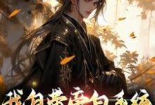 小说《我自带旁白系统,浪迹武侠世界》在线章节阅读-扫文君