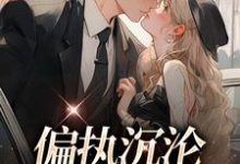 已完结小说《偏执沉沦：学长，晚上见》最新章节-扫文君