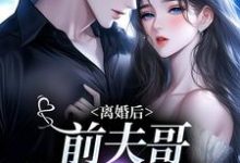 在线免费阅读离婚后,前夫哥苦等我回头完整小说-扫文君