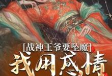 完结版《战神王爷要坠魔，我用感情拯救他》章节阅读-扫文君