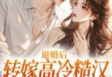 退婚后转嫁高冷糙汉，渣男悔疯了小说无弹窗阅读的网站推荐-扫文君