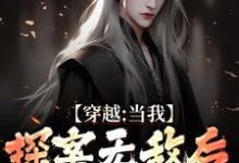 穿越：当我探案无敌后，身份被爆了小说全文阅读需要付费吗？寻找免费资源-扫文君