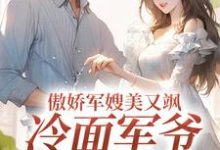 傲娇军嫂美又飒，冷面军爷被拿捏岑婧怡顾延卿，傲娇军嫂美又飒，冷面军爷被拿捏在线无弹窗阅读-扫文君