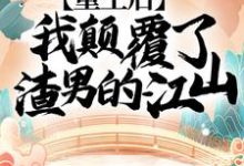 重生后，我颠覆了渣男的江山！小说，重生后，我颠覆了渣男的江山！免费阅读-扫文君