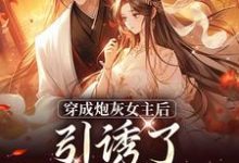 被逼婚言情文男主后，穿越女她杀疯了沈毓灵权明赫小说免费阅读-扫文君