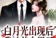 已完结小说《白月光出现后，我被前夫甩了》最新章节-扫文君