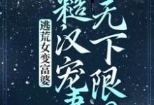 《逃荒女变富婆：糙汉宠妻无下限？》全集免费在线阅读（苏晚晚沈渊）-扫文君
